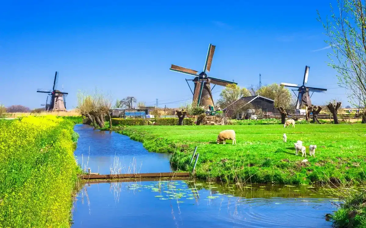 Eropuit Friesland